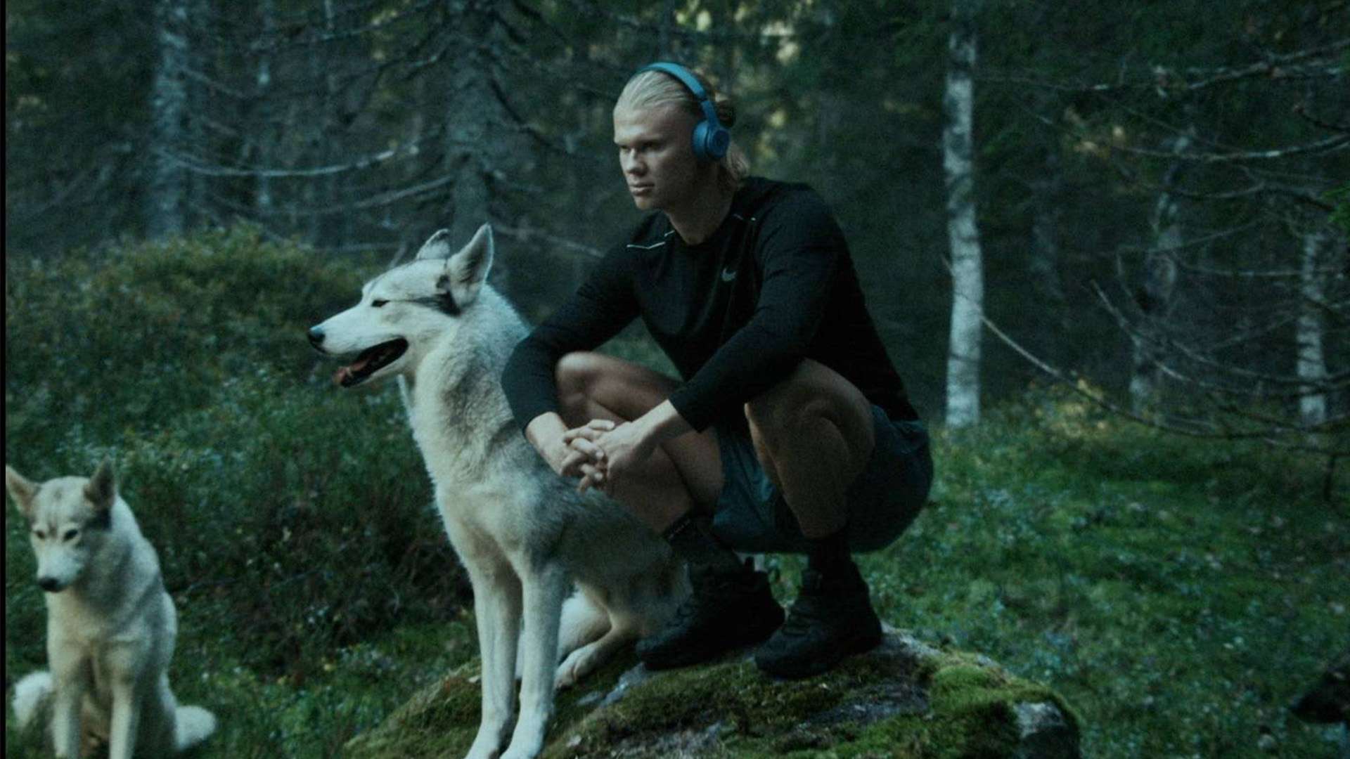 上的明星 上的明星