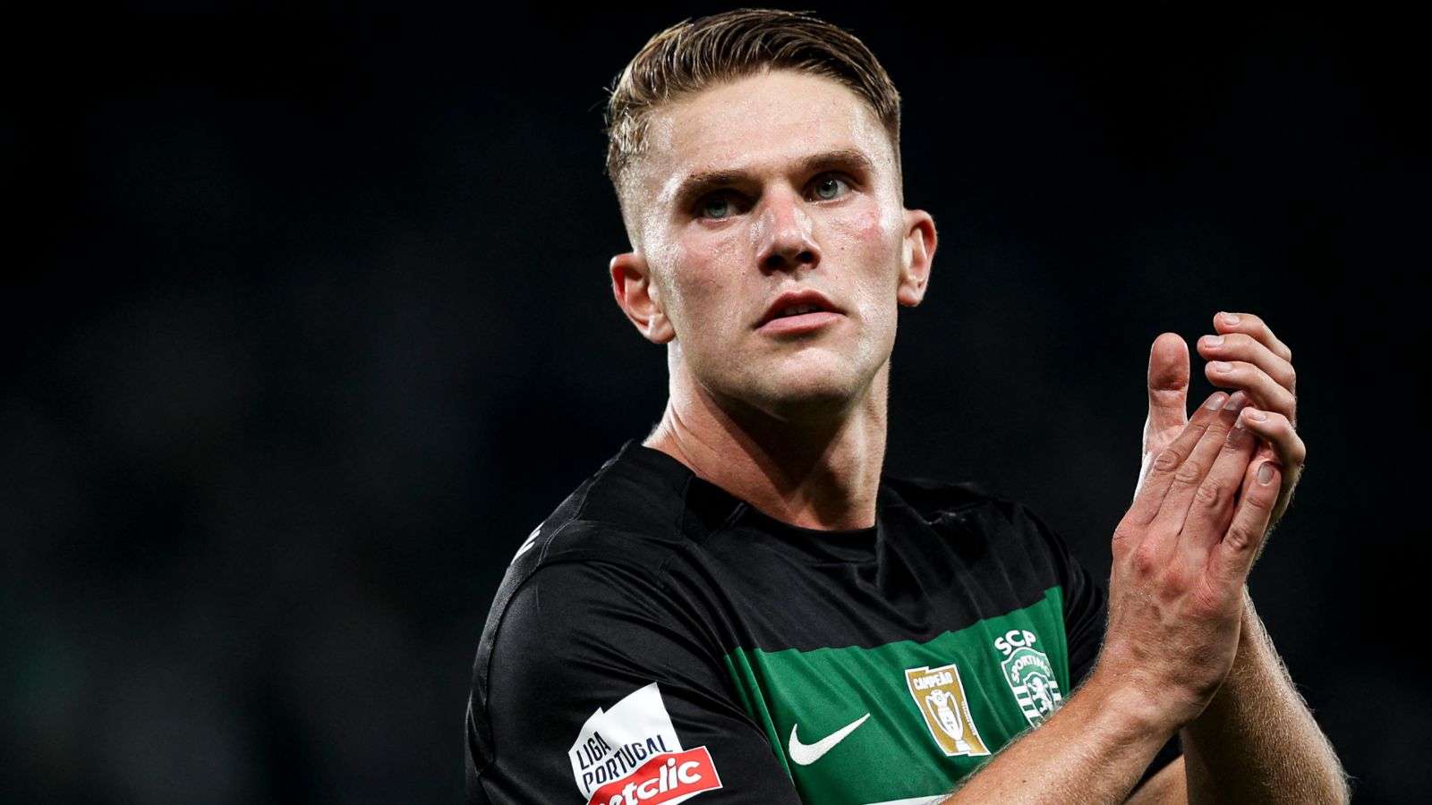 地亞兩支實 地亞兩支實