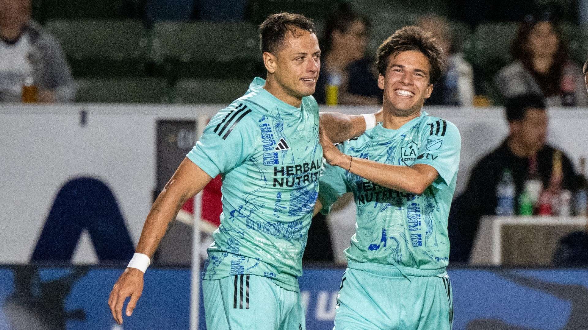 她的个人能 她的个人能